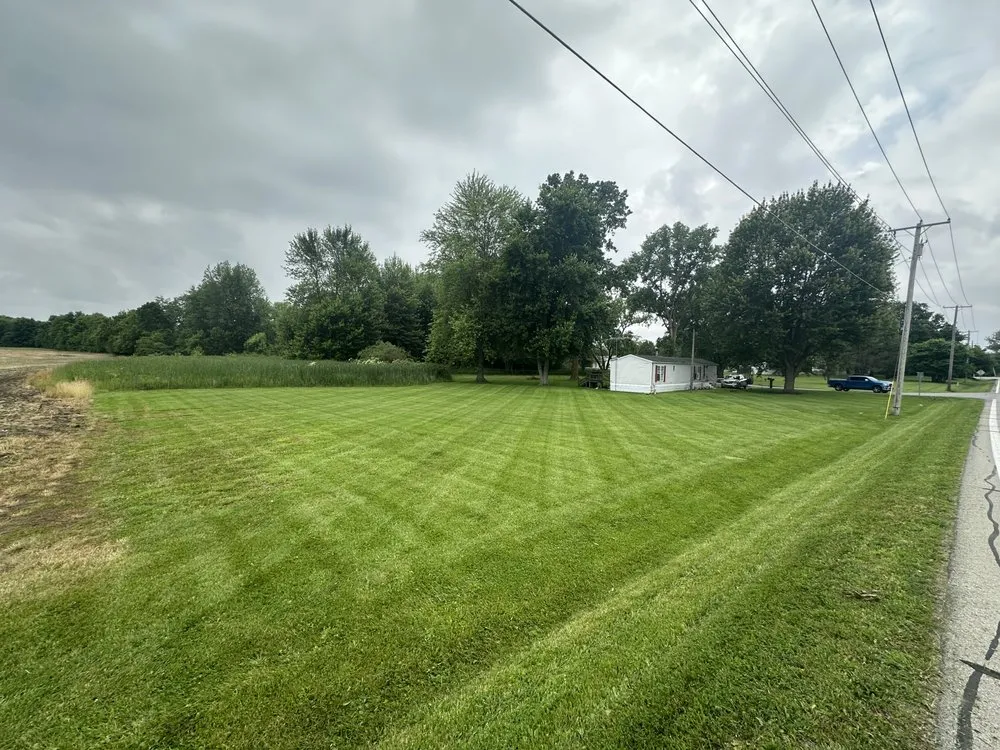 Professional yard cleanup service in Lakeview, OH - Davis Exterior Upkeep