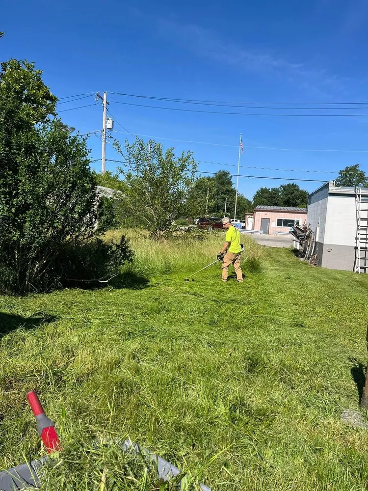 Local yard cleanup service near you in Lakeview, OH by Davis Exterior Upkeep