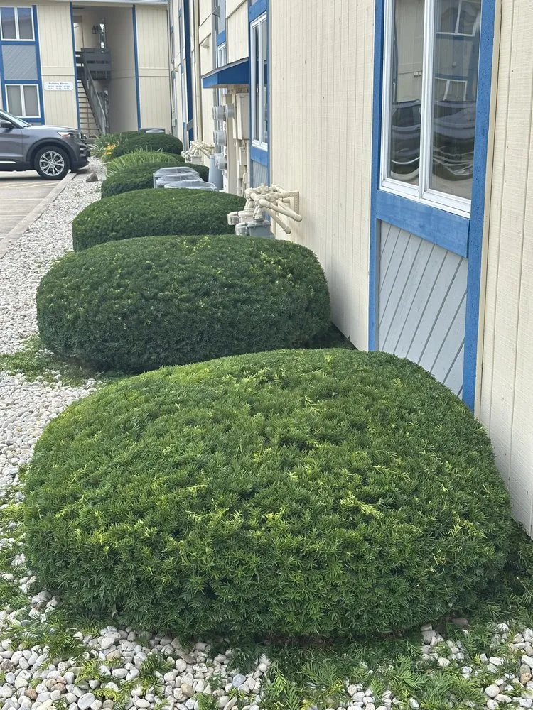 Professional yard maintenance for residential properties across Lakeview, OH - Davis Exterior Upkeep