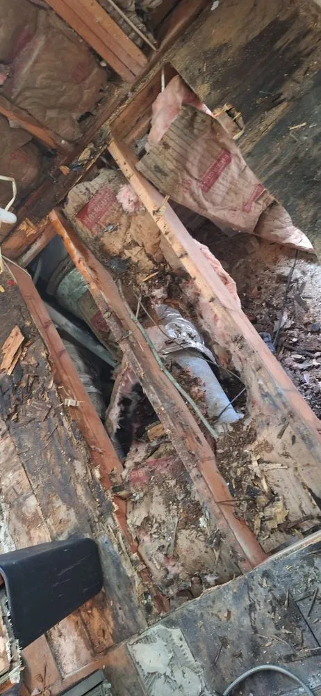 Top-rated lawn care service in Grovetown, GA - Davis Family Hustle