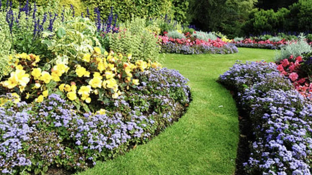 Reliable lawn care service for beautiful yards across Westfield, IN - Davis Family Lawn Care
