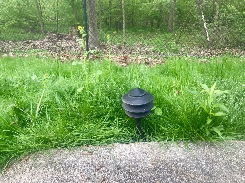 Expert lawn mowing service for year-round maintenance in Westfield, IN by Davis Family Lawn Care