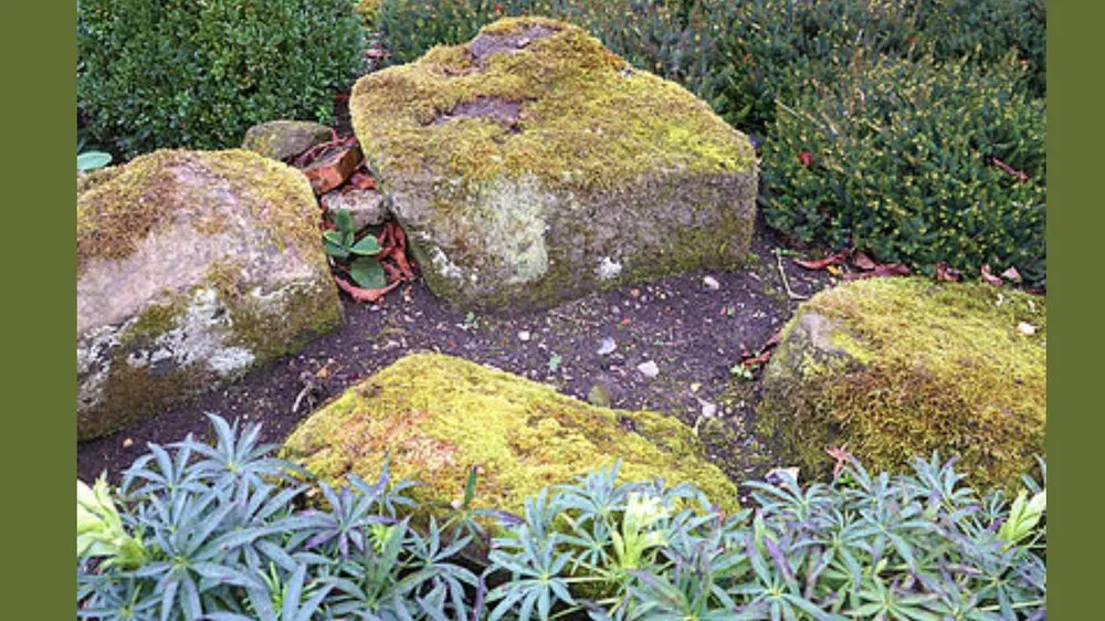 Expert yard maintenance in Westfield, IN - Davis Family Lawn Care