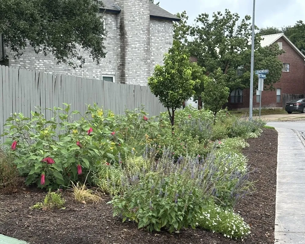 Professional outdoor landscaping for outdoor upgrades across San Antonio, TX - Davis GardenCraft