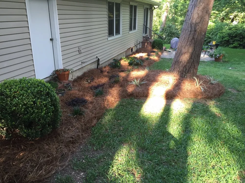 Trusted residential landscaping in Tallahassee, FL - Davis Greenscapes