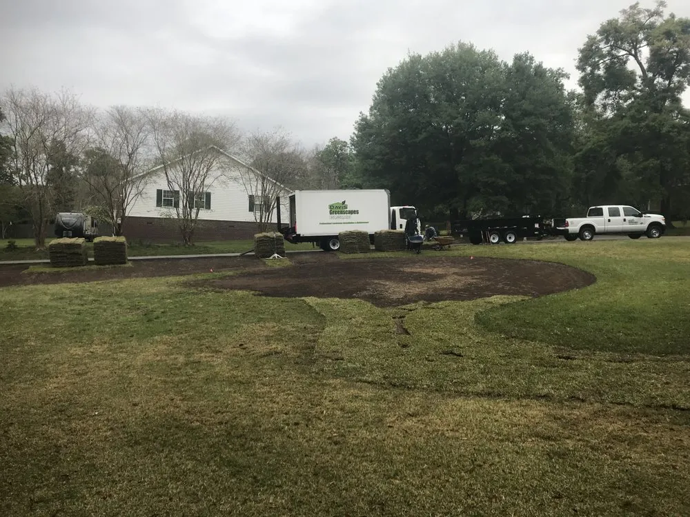 Expert yard cleanup service in Tallahassee, FL by Davis Greenscapes