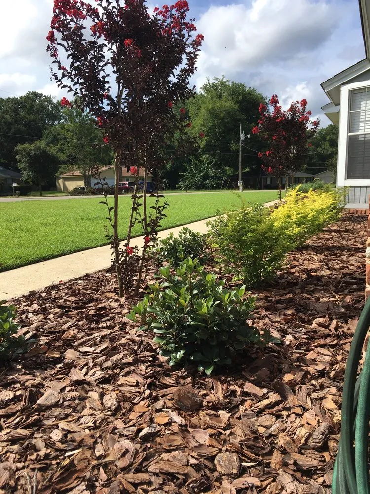 Affordable yard cleanup service in Tallahassee, FL by Davis Greenscapes