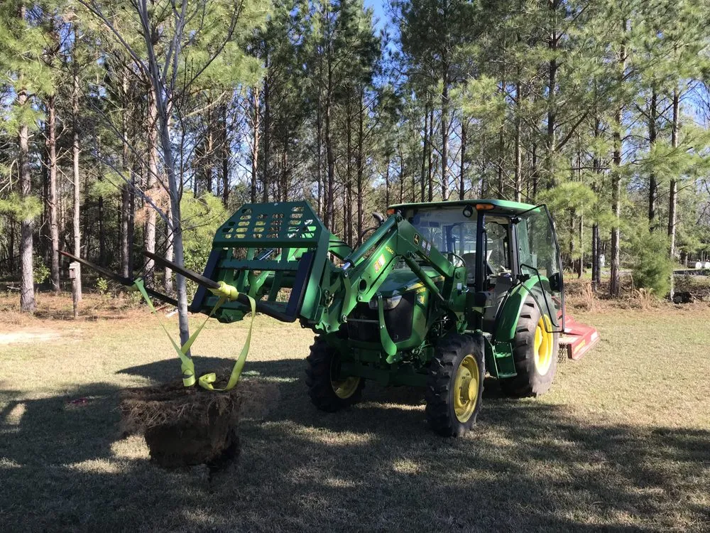 Top-rated garden landscaping for year-round maintenance across Tallahassee, FL - Davis Greenscapes