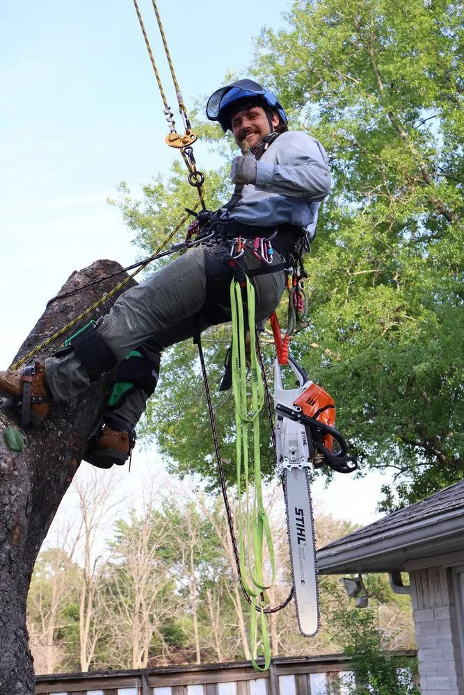 Expert landscaping services in Ingram, TX by Davis Land and Lawn