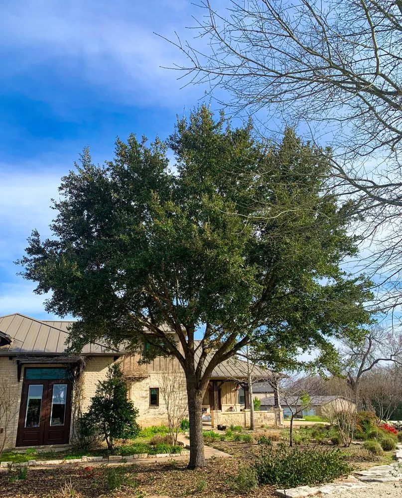 Reliable lawn mowing service in Ingram, TX - Davis Land and Lawn