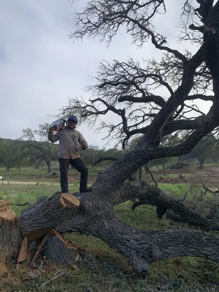 Expert lawn care service experts serving Ingram, TX - Davis Land and Lawn