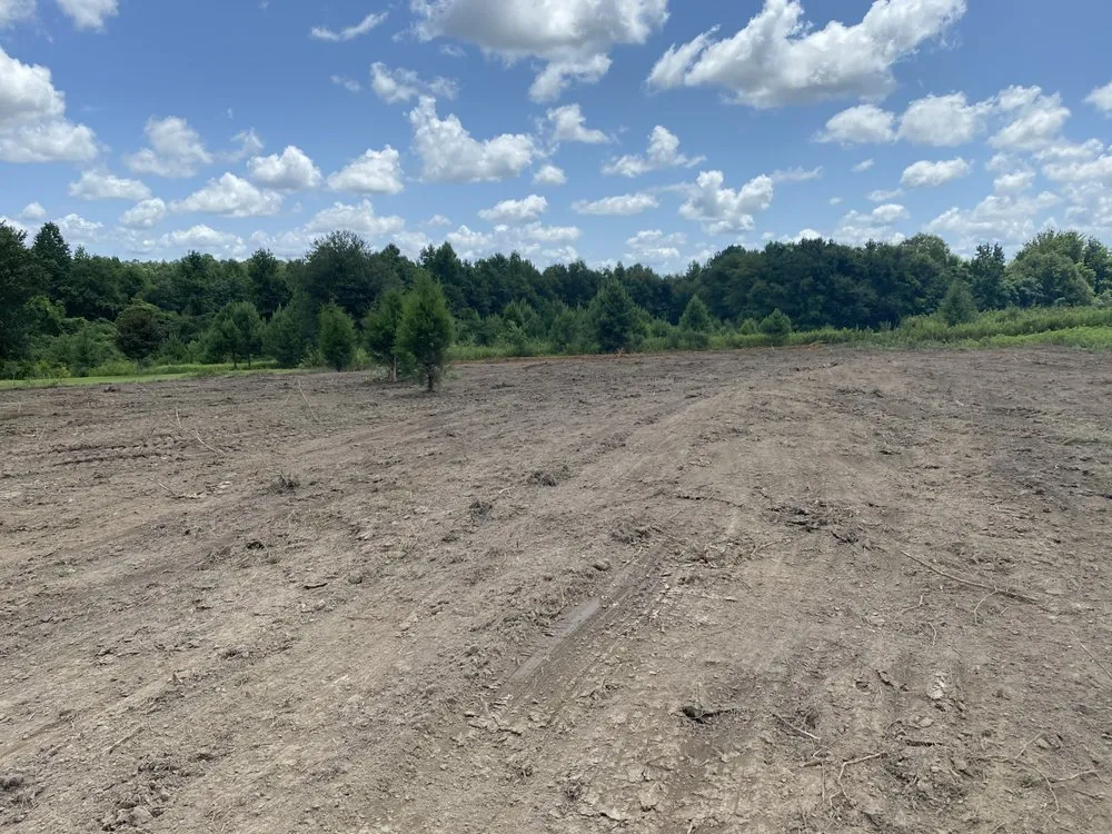 Reliable lawn mowing service near you across Lumberton, MS - Davis land services