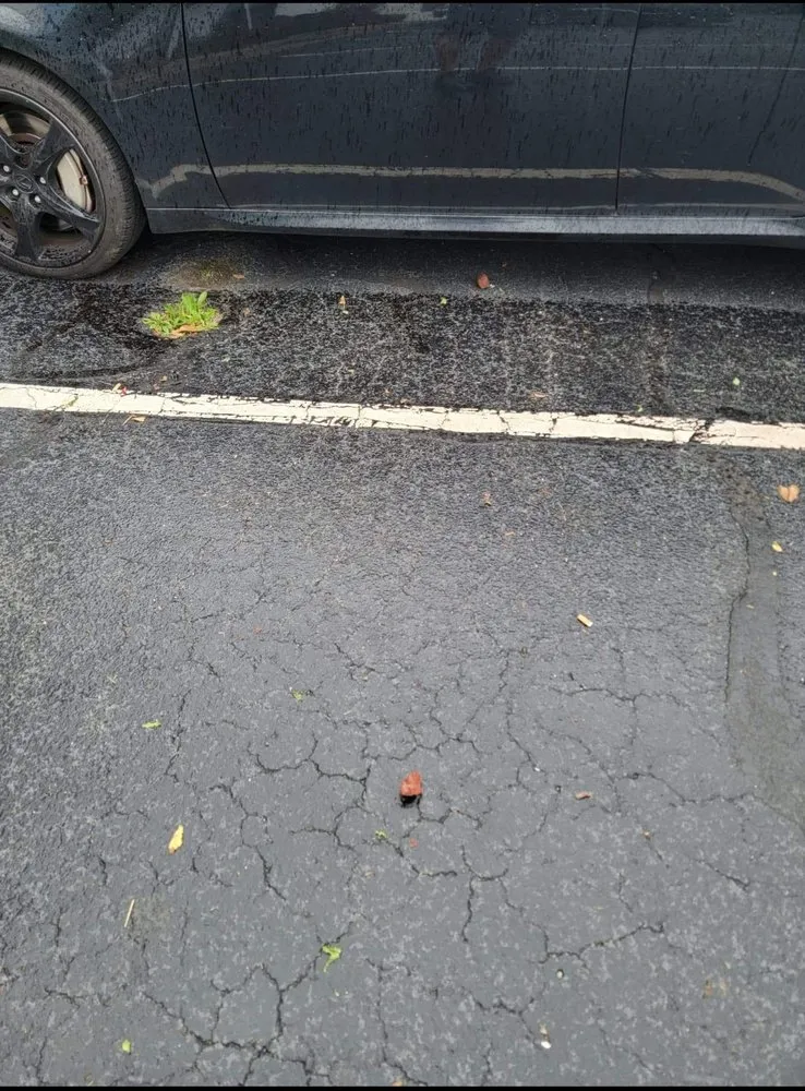 Affordable residential landscaping in Inman, SC by Davis Landscape and Nursery