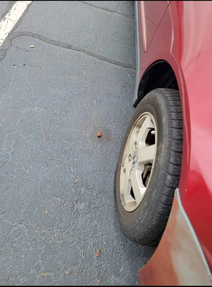 Trusted lawn care service in Inman, SC - Davis Landscape and Nursery