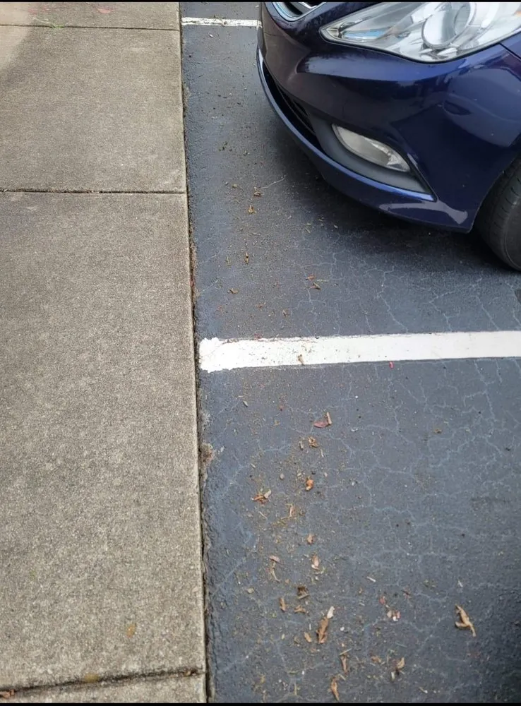 Reliable residential landscaping experts serving Inman, SC - Davis Landscape and Nursery