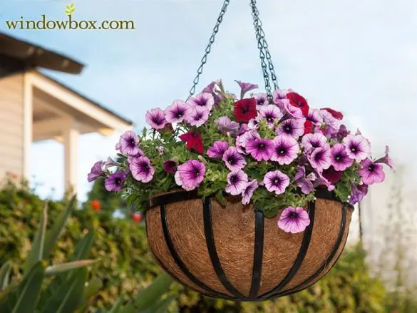 Custom yard cleanup service for beautiful yards across Inman, SC - Davis Landscape and Nursery