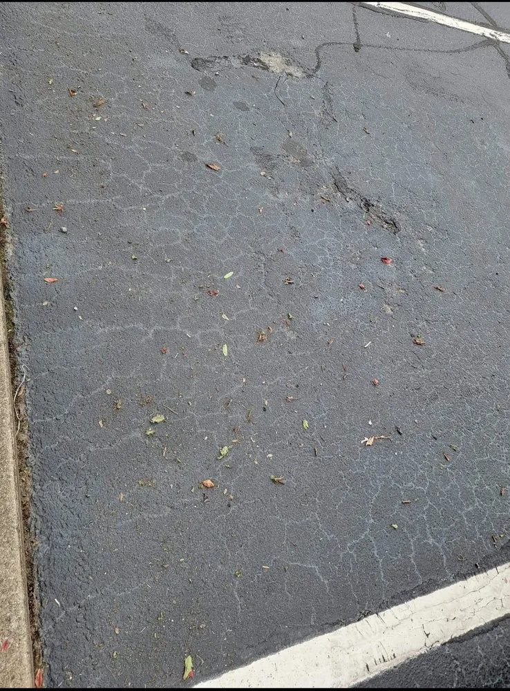 Top-rated yard cleanup service in Inman, SC - Davis Landscape and Nursery