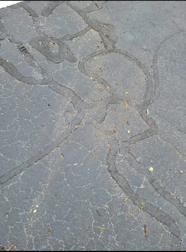 Affordable yard maintenance experts serving Inman, SC - Davis Landscape and Nursery