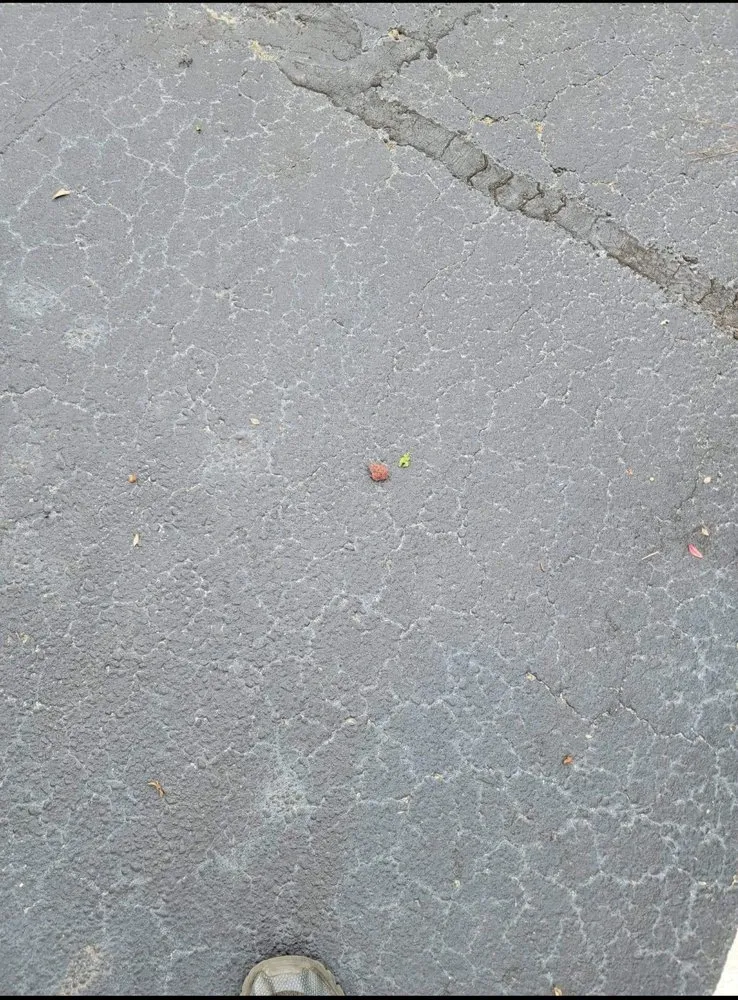 Affordable landscaping services near you across Inman, SC - Davis Landscape and Nursery