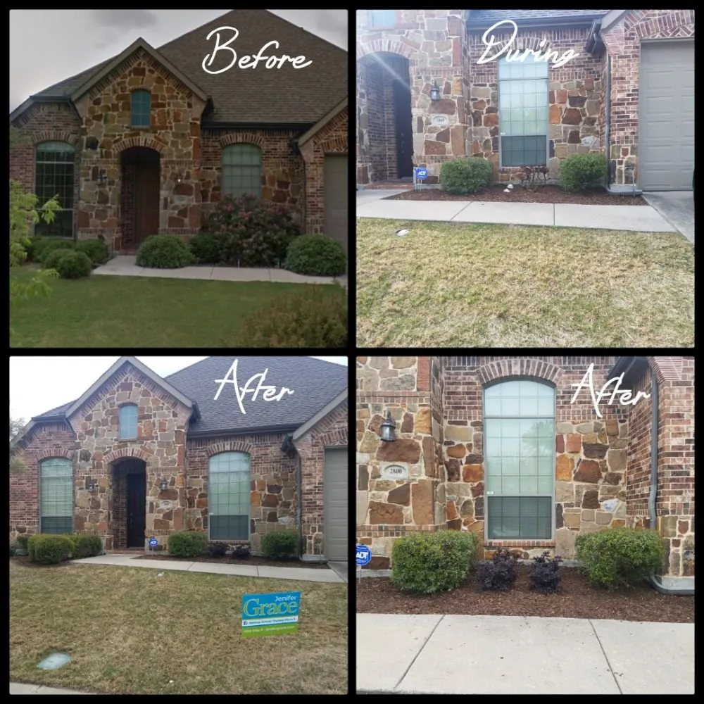 Professional yard cleanup service experts serving Celeste, TX - Davis Landscape Services