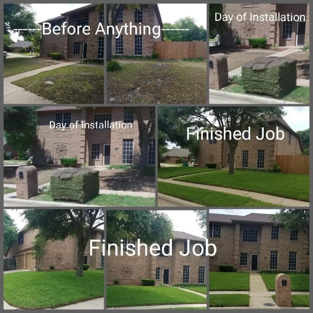 Trusted landscape installation for year-round maintenance in Celeste, TX by Davis Landscape Services