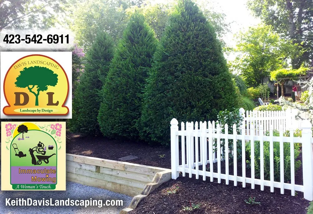 Trusted yard cleanup service near you across Watauga, TN - Davis Landscaping & Lawn Maintenance