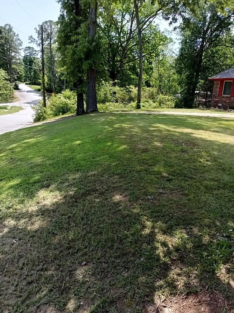 Local outdoor landscaping for year-round maintenance across Little Rock, AR - Davis Landscaping and Lawn Care Service