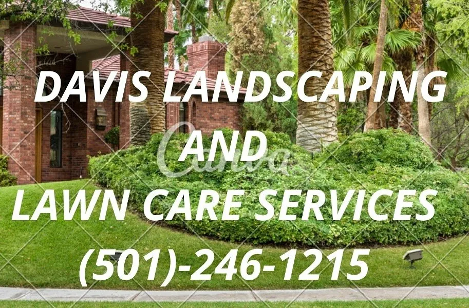 Reliable yard cleanup service for homes across Little Rock, AR - Davis Landscaping and Lawn Care Service