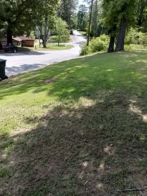 Davis Landscaping and Lawn Care Service Logo