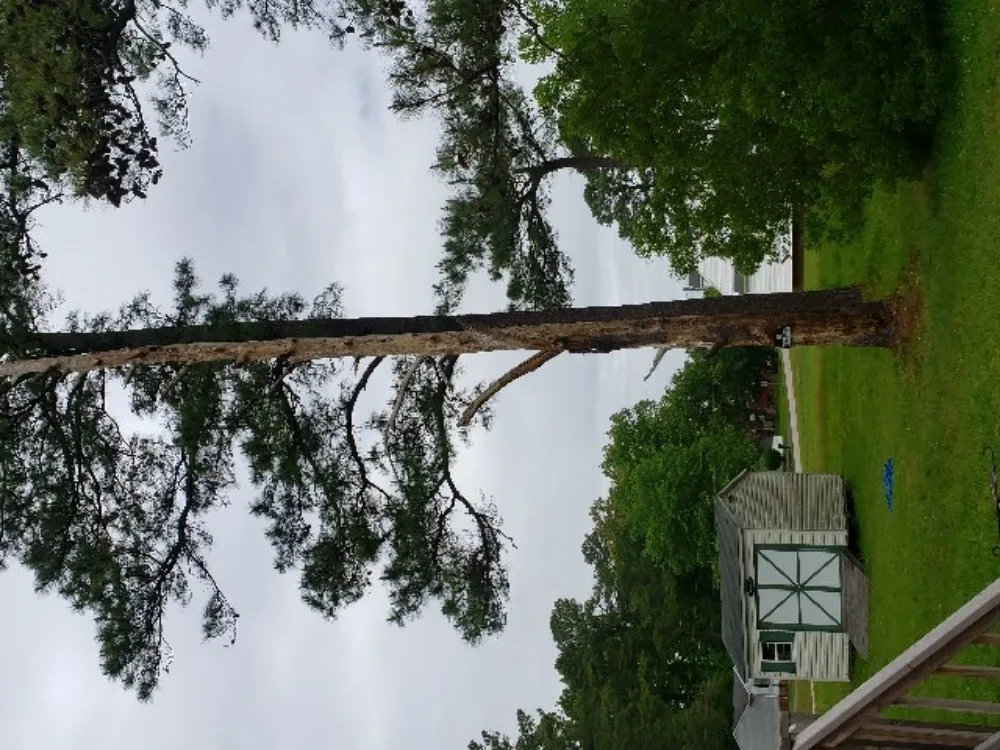 Affordable lawn care service experts serving Colonial Heights, VA - Davis Landscaping and Tree Service