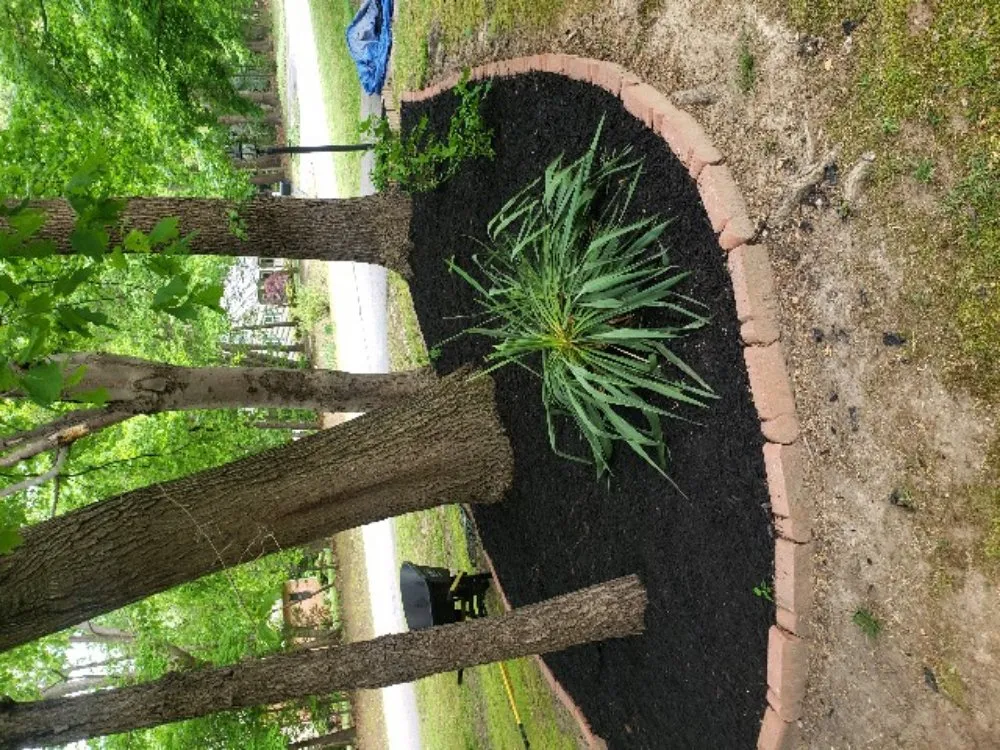 Trusted landscape installation in Colonial Heights, VA by Davis Landscaping and Tree Service