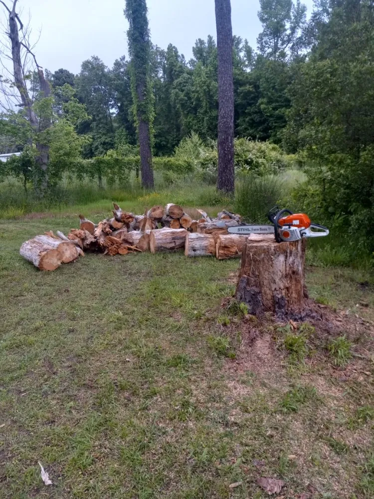 Expert lawn mowing service for beautiful yards across Colonial Heights, VA - Davis Landscaping and Tree Service