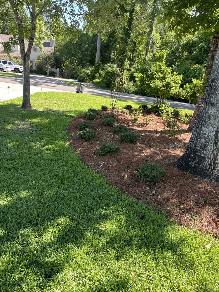 Professional outdoor landscaping for beautiful yards across Bay St. Louis, MS - Davis Landscaping