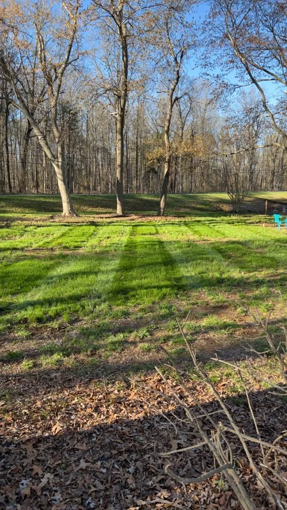 Top-rated landscape design for homes across Graham, NC - Davis Landscaping