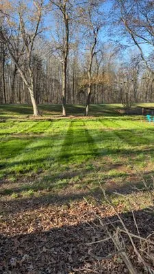 Davis Landscaping Logo