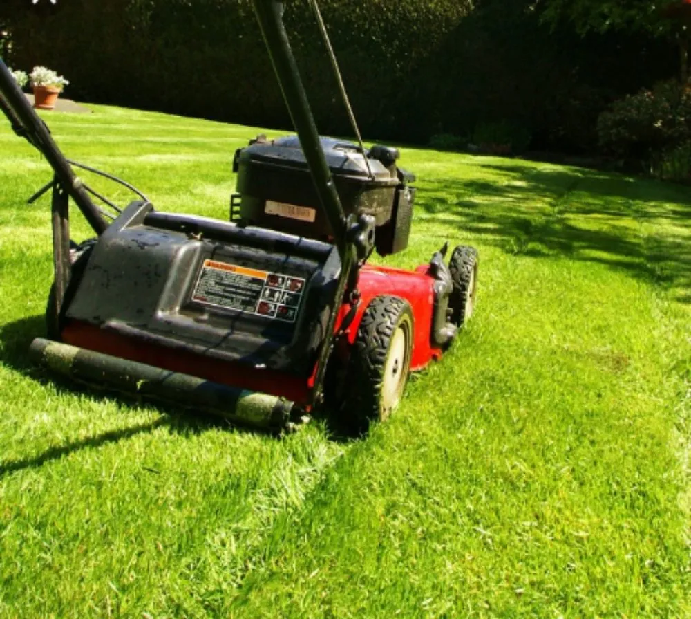 Expert yard cleanup service near you in Raleigh, NC by Davis Landscaping