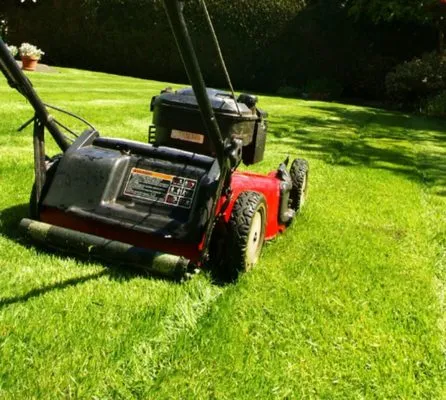 Davis Landscaping Logo