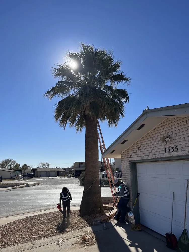 Top-rated landscaping services in El Paso, TX - Davis Landscaping Services