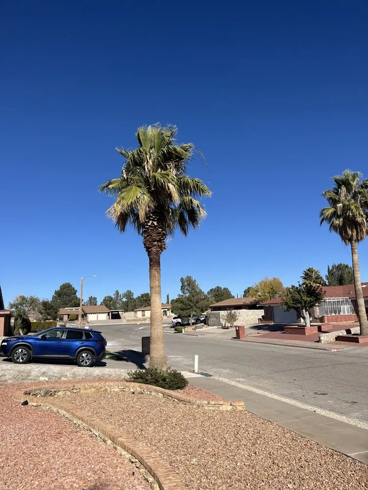 Reliable lawn care service in El Paso, TX - Davis Landscaping Services