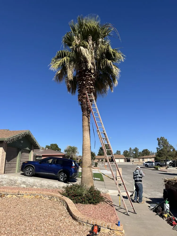 Trusted landscape installation in El Paso, TX by Davis Landscaping Services