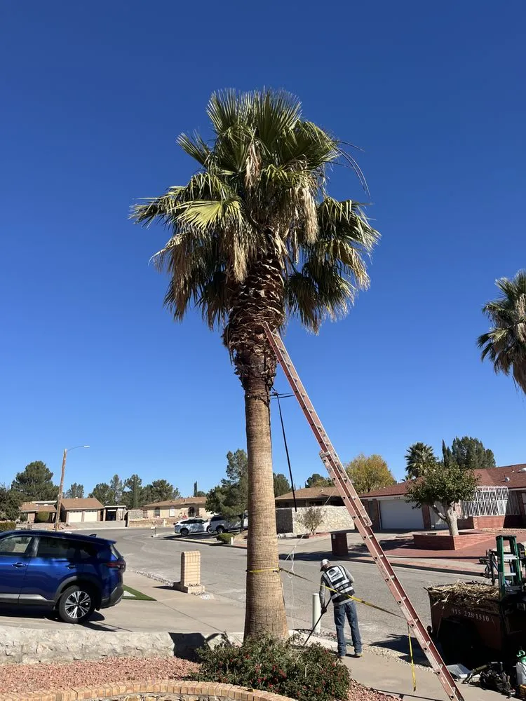 Reliable residential landscaping for year-round maintenance in El Paso, TX by Davis Landscaping Services