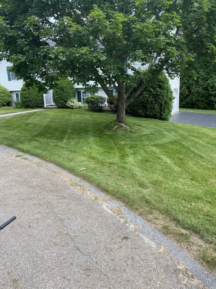 Trusted yard cleanup service in Worcester, MA by Davis Landscaping