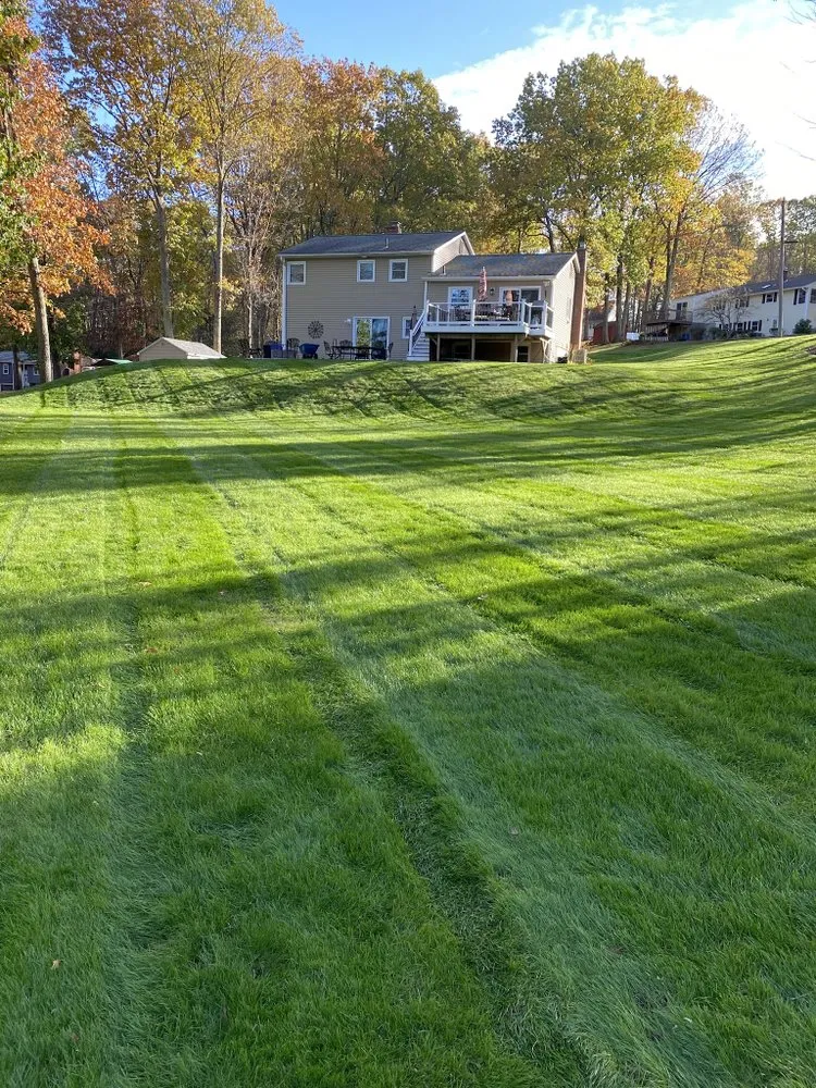 Reliable yard maintenance experts serving Worcester, MA - Davis Landscaping