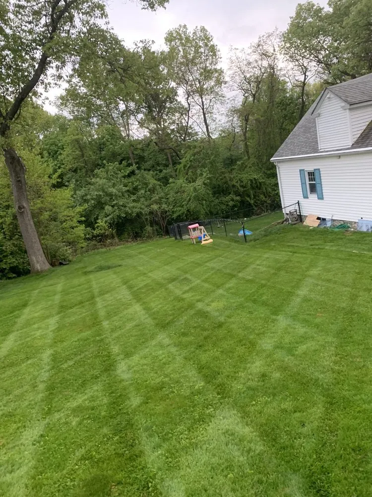 Affordable yard cleanup service for residential properties across Worcester, MA - Davis Landscaping