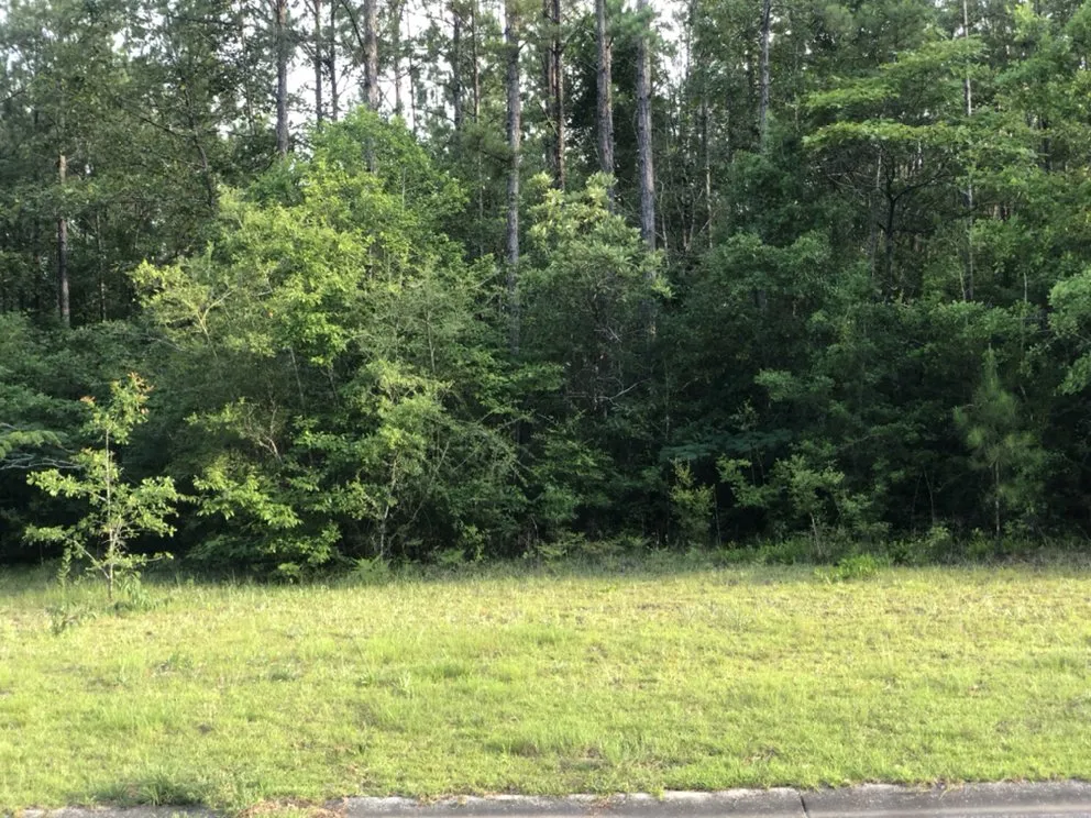 Local outdoor landscaping for outdoor upgrades in Daphne, AL by Davis Landwork & Construction