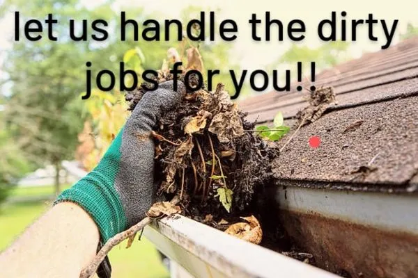 Davis Lawcare & Landscaping Logo