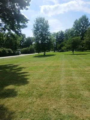 Davis Lawn & Landscaping Logo