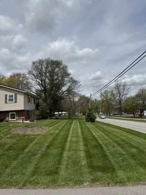 Davis Lawn & Landscaping