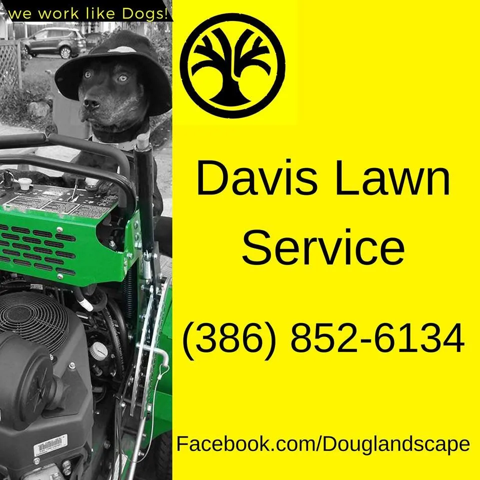 Custom residential landscaping in Ormond Beach, FL - Davis Lawn & Landscaping