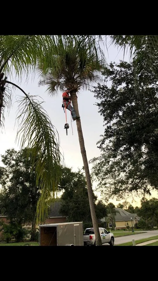 Local landscape installation in Ormond Beach, FL by Davis Lawn & Landscaping